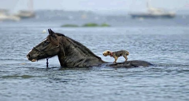 selecting business partnership