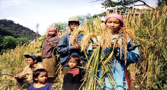 rural production